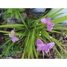 Papillon en céramique pour les jardins et jardinières taille moyenne, couleur lilas