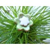 Poppies fleurs en céramique pour les jardinières, série de trois fleurs vert amande