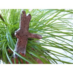 Lot de trois libellules en céramique pour les jardins et jardinières, couleur elsass café