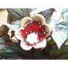 Poppies fleurs en céramique pour les jardinières, série de trois fleurs rot und wiss