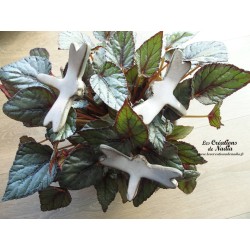Libellule couleur marron givré sur pic pour les jardinières et jardins
