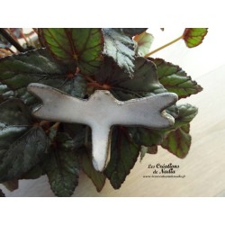 Libellule couleur marron givré sur pic pour les jardinières et jardins