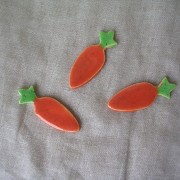 boutons carottes