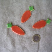 boutons carottes