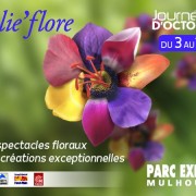 Journées d&rsquo;octobre 2013 Mulhouse