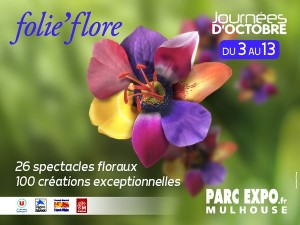 Journées d'octobre 2013 Mulhouse
