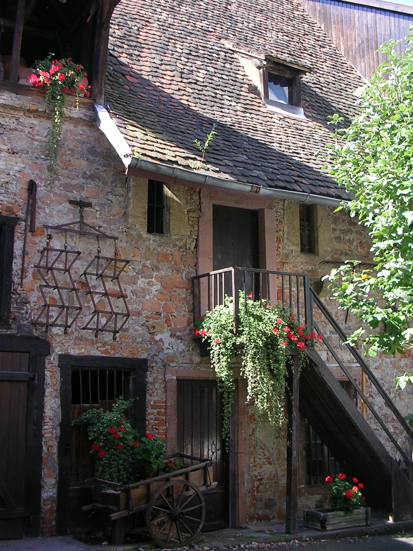 Quelques photos de Colmar...