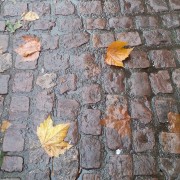20131103_101729