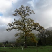 ???????????????????????????????