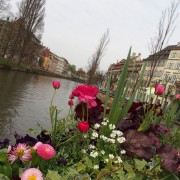 printemps les créations de nadia céramique