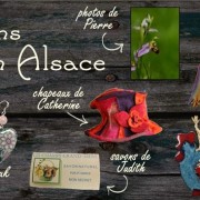 11667336_10205622639139794_1200860282017091902_n