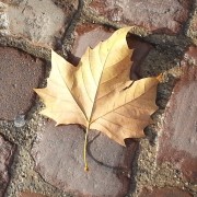 l’automne les créations de nadia céramique