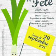 Affiche_Robertsau en Fête 2018