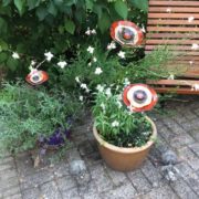 67728299_751904125230144_3913576875879825408_n