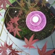 67757921_1095689057486290_7718347988040417280_n